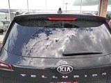 Used 2021 Kia Telluride EX w/ EX Premium Package image 3