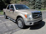 Used 2013 Ford F150 XLT w/ Luxury Equipment Group image 4