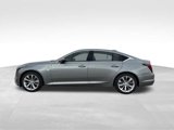 New 2025 Cadillac CT5 Premium Luxury image 4