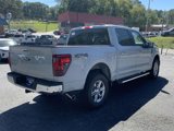 New 2024 Ford F150 XLT w/ Equipment Group 302A MID image 4