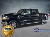 New 2025 Ford F150 XLT w/ Equipment Group 302A MID image 2