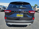 Used 2024 Ford Escape Platinum image 4