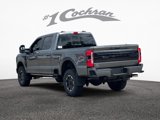 New 2025 Ford F250 Platinum image 4
