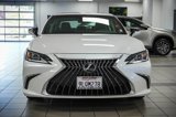 Certified 2024 Lexus ES 350 w/ Premium Package image 4