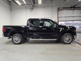 New 2025 Ford F150 XLT w/ Equipment Group 302A MID image 4