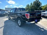 Used 2014 Ford F150 XLT w/ Equipment Group 302A Luxury image 3