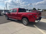 Certified 2024 Ford F150 XLT w/ Equipment Group 302A MID image 5
