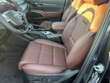 New 2025 Kia Telluride SX w/ SX Captain's Chair Package image 4