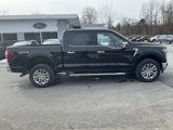 New 2025 Ford F150 Lariat image 2