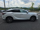 Used 2024 Lexus RX 350 FWD image 4