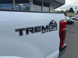Used 2022 Ford F250 Lariat w/ Tremor Off-Road Package image 4