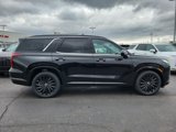 New 2025 Hyundai Palisade Calligraphy image 3