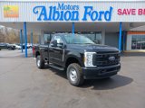 New 2025 Ford F250 XL image 3