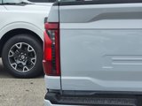 New 2025 Ford F150 XLT w/ Equipment Group 303A High image 6