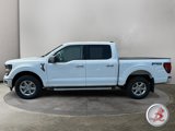 Used 2024 Ford F150 XLT w/ Mobile Office Package image 4