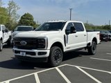 New 2025 Ford F250 Platinum image 5