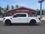 New 2025 Ford F150 XLT w/ Equipment Group 302A MID image 3