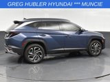 New 2025 Hyundai Tucson Limited image 5