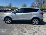 Used 2019 Ford Escape Titanium image 5