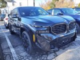 New 2025 BMW XM image 3