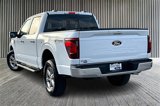New 2025 Ford F150 XLT w/ Equipment Group 302A MID image 3