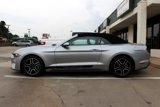 Used 2023 Ford Mustang Premium w/ Equipment Group 201A image 2