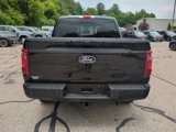 Certified 2024 Ford F150 XLT w/ Equipment Group 302A MID image 4
