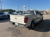 New 2025 Ford F150 XLT w/ Equipment Group 302A MID image 5