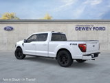 New 2025 Ford F150 Platinum image 5