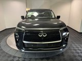 New 2025 INFINITI QX80 Sensory image 2