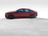 New 2025 Honda Accord Sport image 4