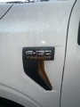 New 2025 Ford F150 Tremor w/ Equipment Group 402A High image 2