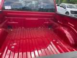 New 2025 Ford F150 XLT w/ Equipment Group 302A MID image 4