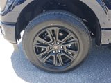 New 2025 Ford F150 Platinum w/ Equipment Group 702A High image 6