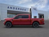New 2025 Ford F150 XLT w/ Equipment Group 301A Standard image 3