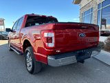 Used 2023 Ford F150 Lariat image 3