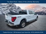 New 2025 Ford F150 XLT image 5