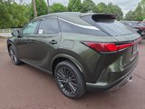 New 2025 Lexus RX 350h image 4