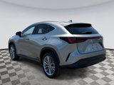 Used 2025 Lexus NX 350 AWD w/ Premium Package image 4