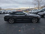 Used 2023 Ford Mustang GT Premium w/ Equipment Group 401A image 6