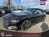 Used 2024 Ford Mustang Premium image 3