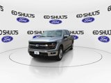 New 2025 Ford F150 XLT w/ Equipment Group 303A High image 4