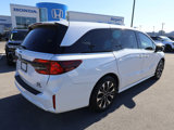 New 2025 Honda Odyssey Elite image 5