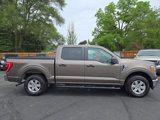 Used 2021 Ford F150 4x4 SuperCrew image 5