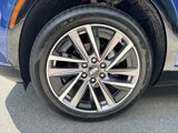 New 2026 Cadillac Vistiq Sport image 5