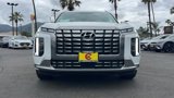 New 2025 Hyundai Palisade Calligraphy image 4