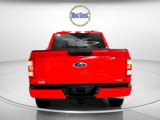 Used 2021 Ford F150 XL w/ Equipment Group 101A High image 6