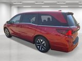 New 2026 Honda Odyssey EX-L image 3