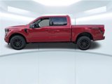 New 2025 Ford F150 XLT w/ Equipment Group 302A MID image 2