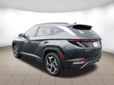 Used 2024 Hyundai Tucson Limited image 4